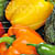 Tacoma Photographer - Food